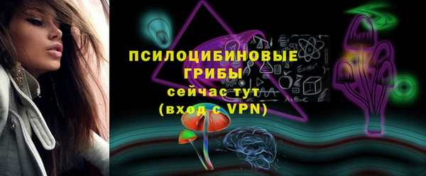apvp Алексеевка