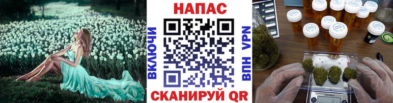 Бошки марихуана индика  Стародуб 